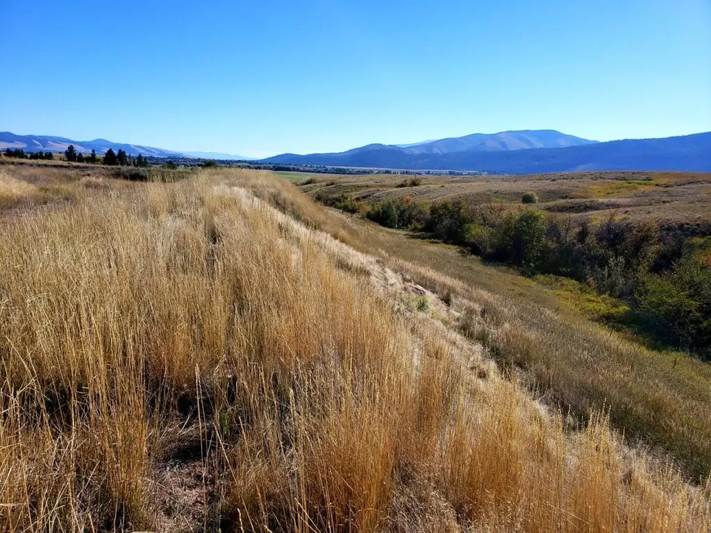 6506 Grand Am Way Missoula MT 59808
