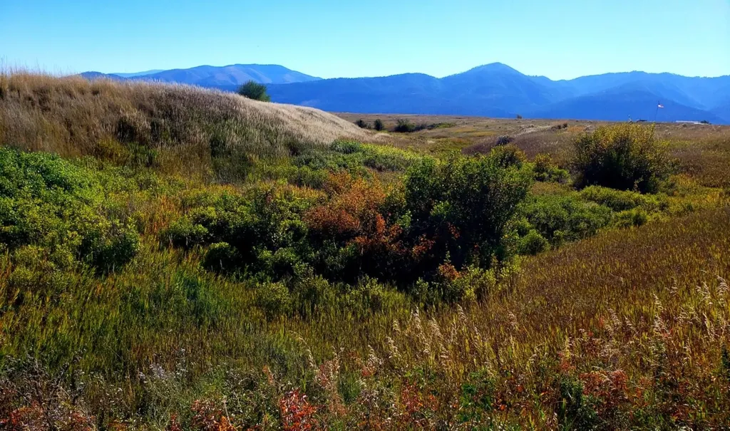 6506 Grand Am Way Missoula MT 59808