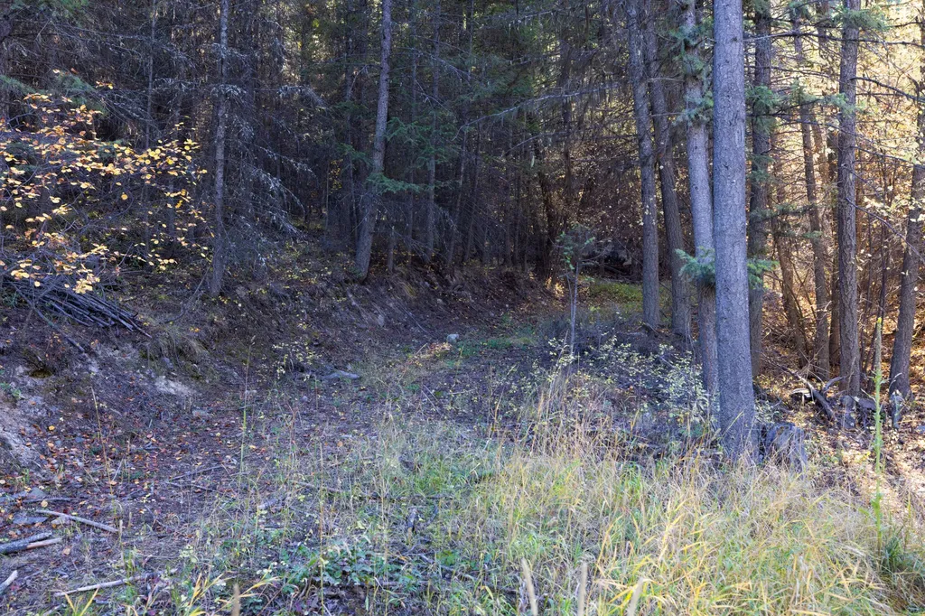 Nhn Gut Creek Road Eureka MT 59917