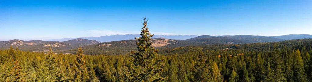 Nhn Gut Creek Road Eureka MT 59917