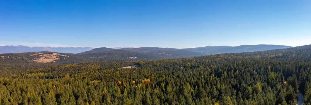Nhn Gut Creek Road Eureka MT 59917