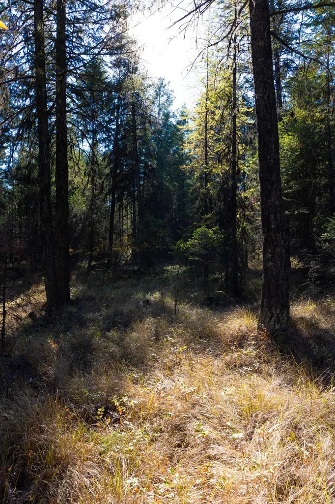 Nhn Gut Creek Road Eureka MT 59917