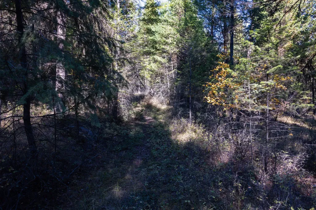 Nhn Gut Creek Road Eureka MT 59917