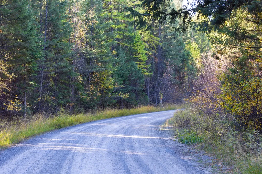 Nhn Gut Creek Road Eureka MT 59917