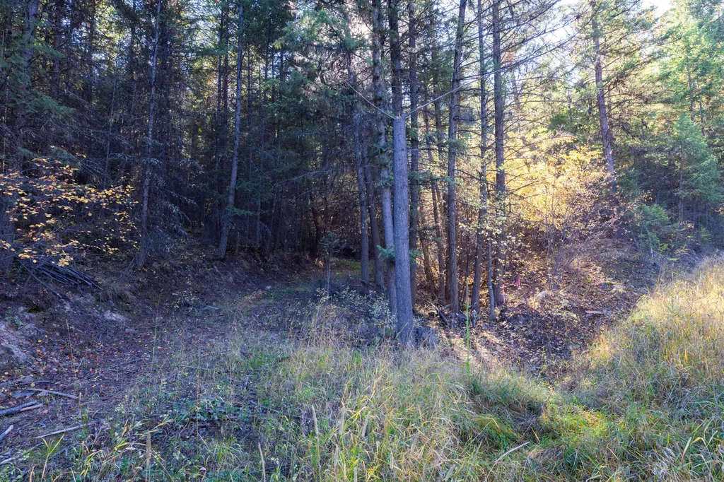 Nhn Gut Creek Road Eureka MT 59917