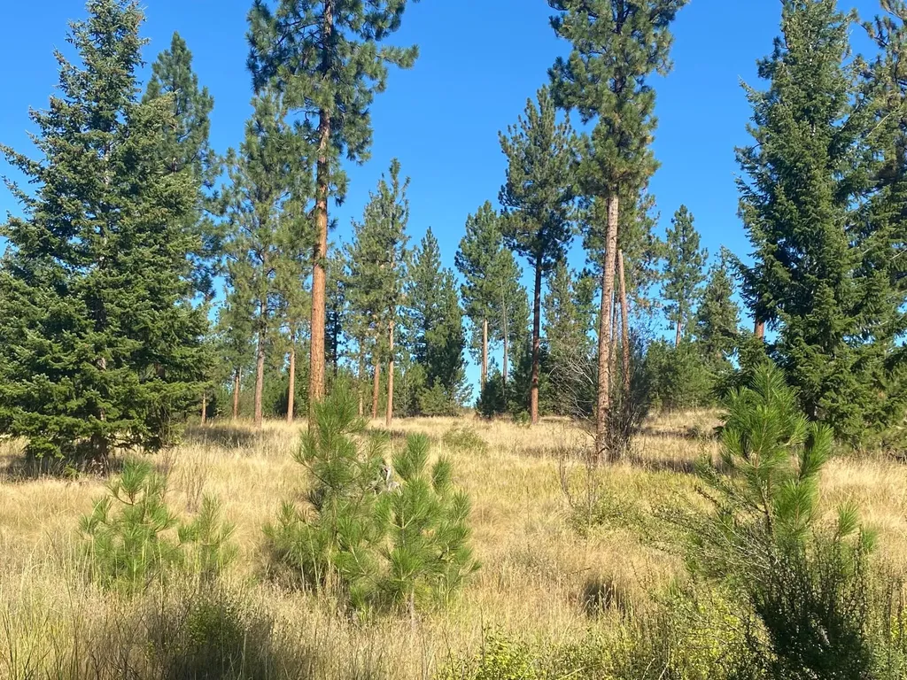 Lot 40 Bighorn Bluff Loop Plains MT 59859