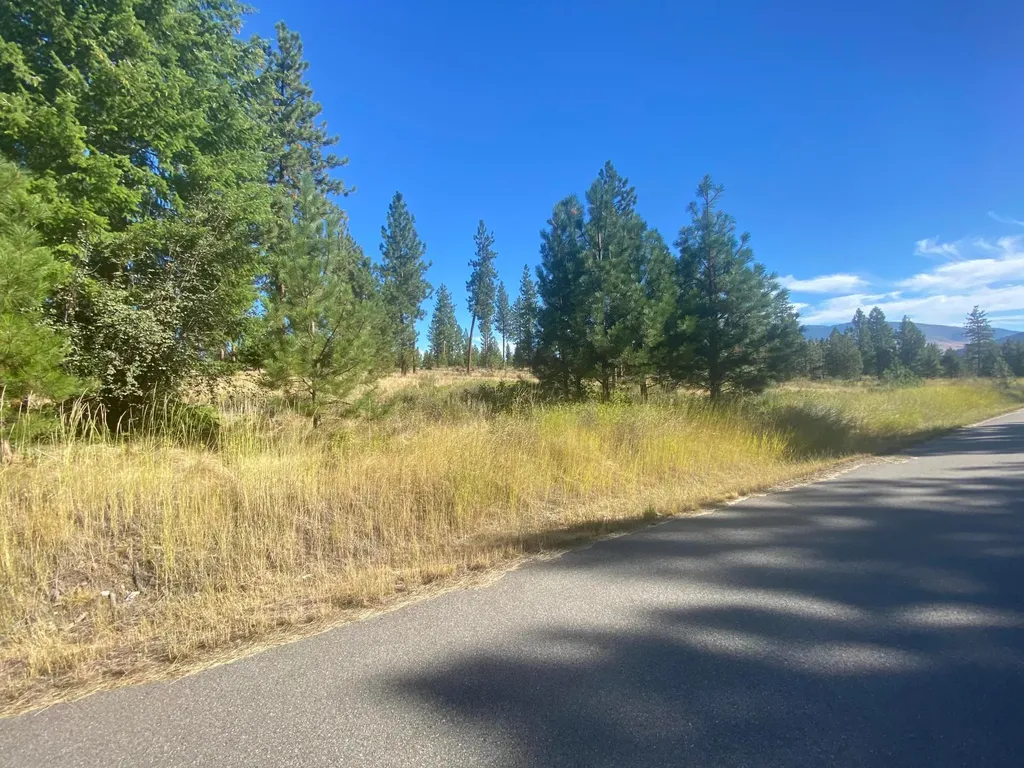 Lot 40 Bighorn Bluff Loop Plains MT 59859