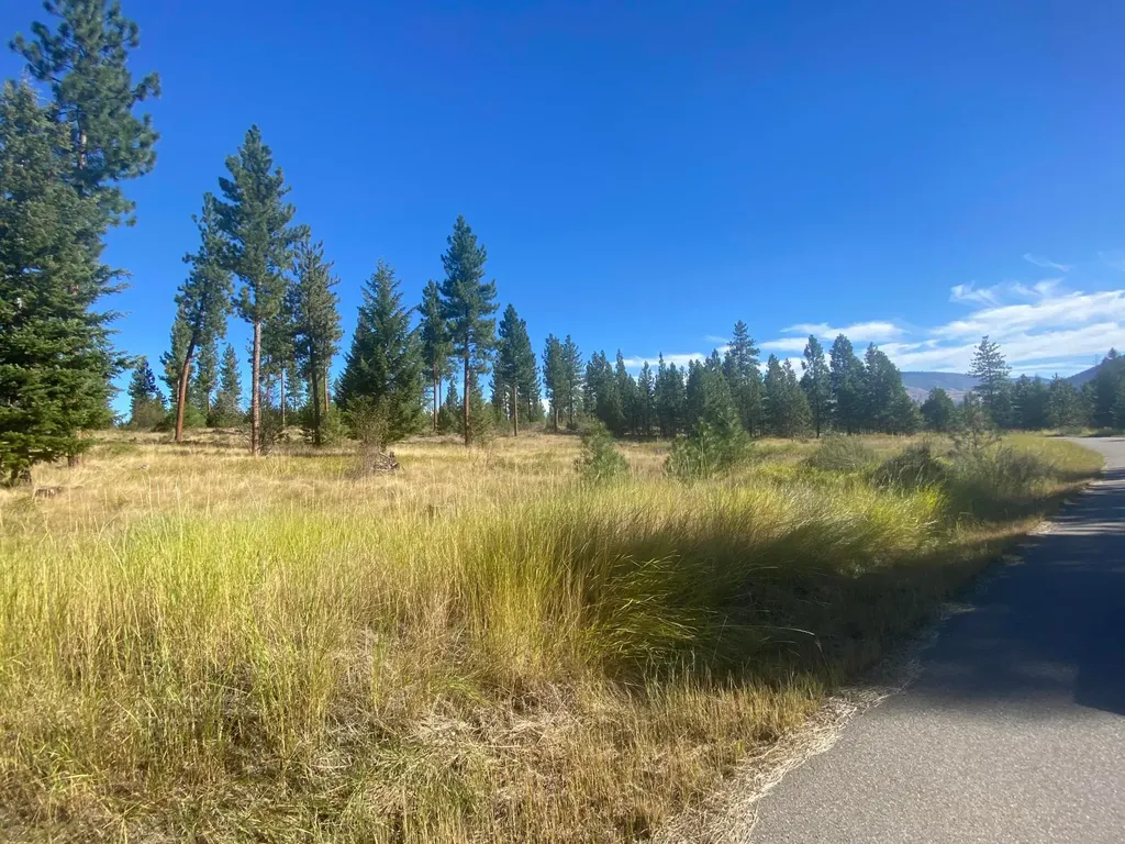 Lot 40 Bighorn Bluff Loop Plains MT 59859
