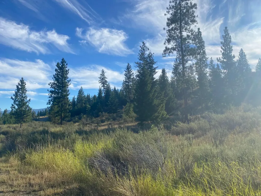 Lot 14 Bighorn Plains MT 59859