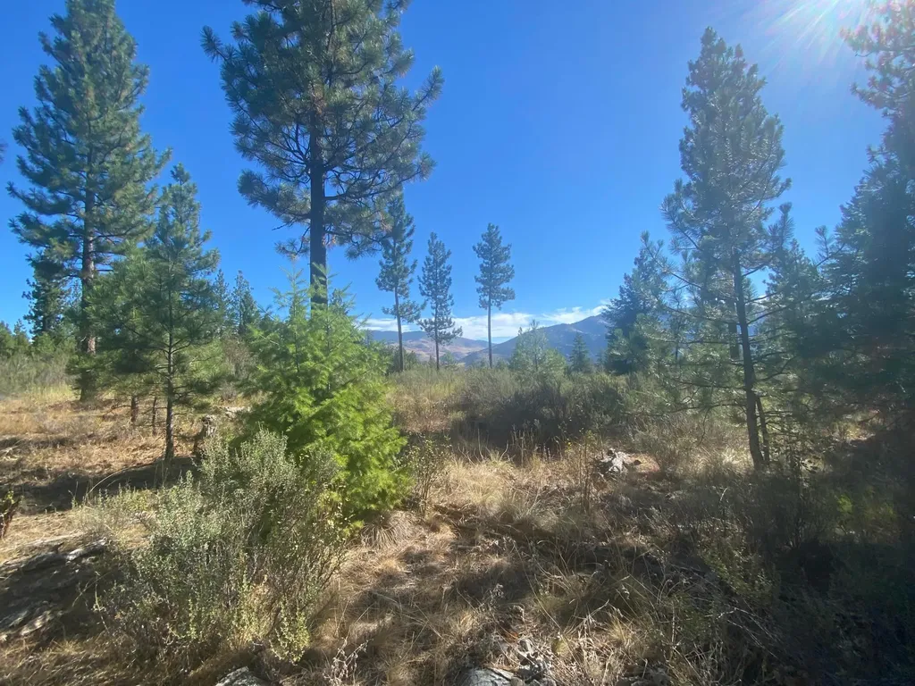 Lot 14 Bighorn Plains MT 59859