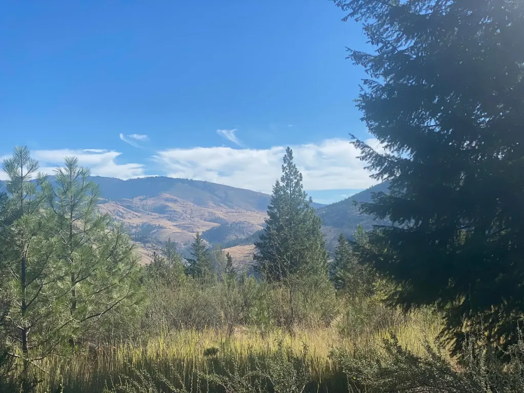 Lot 14 Bighorn Plains MT 59859
