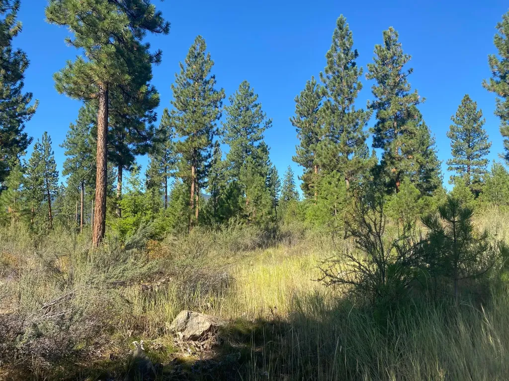 Lot 14 Bighorn Plains MT 59859