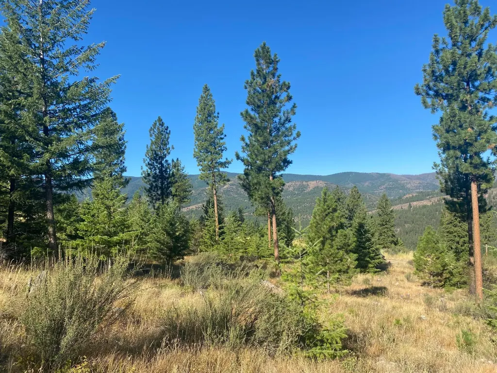 Lot 14 Bighorn Plains MT 59859