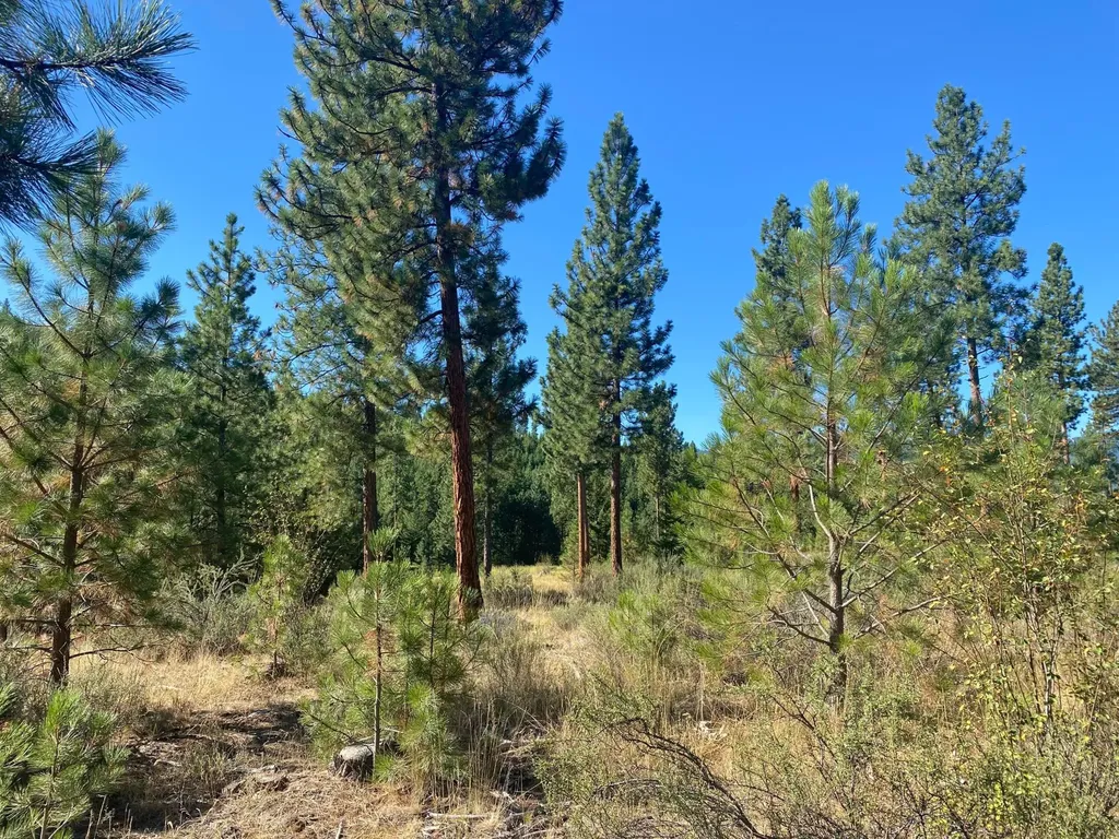 Lot 14 Bighorn Plains MT 59859