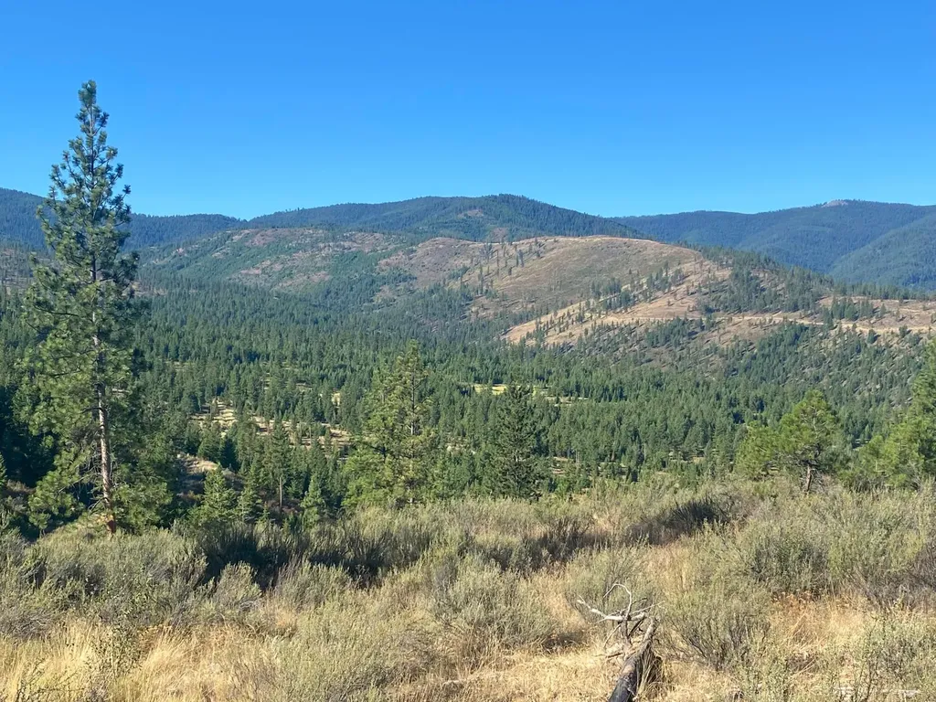 Lot 14 Bighorn Plains MT 59859