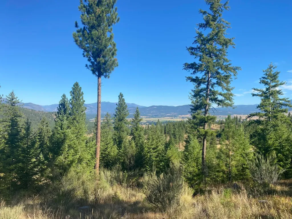 Lot 27 Bighorn Bluff Plains MT 59859