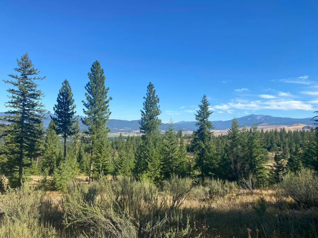 Lot 27 Bighorn Bluff Plains MT 59859