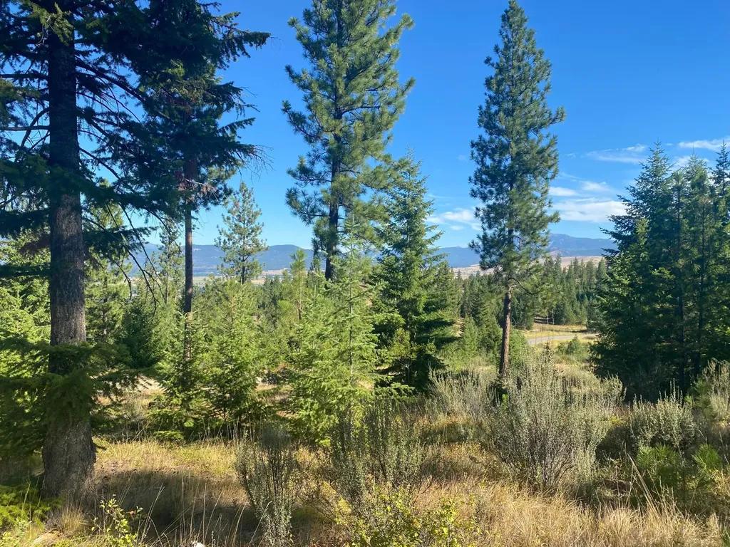 Lot 27 Bighorn Bluff Plains MT 59859