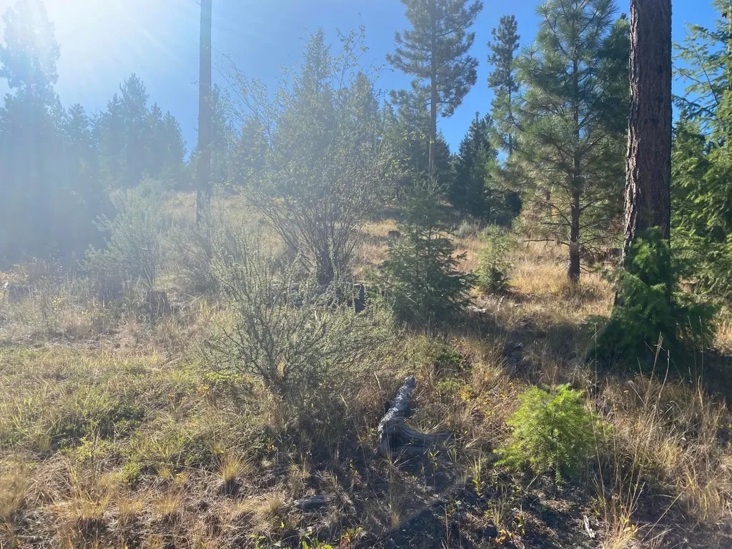 Lot 27 Bighorn Bluff Plains MT 59859