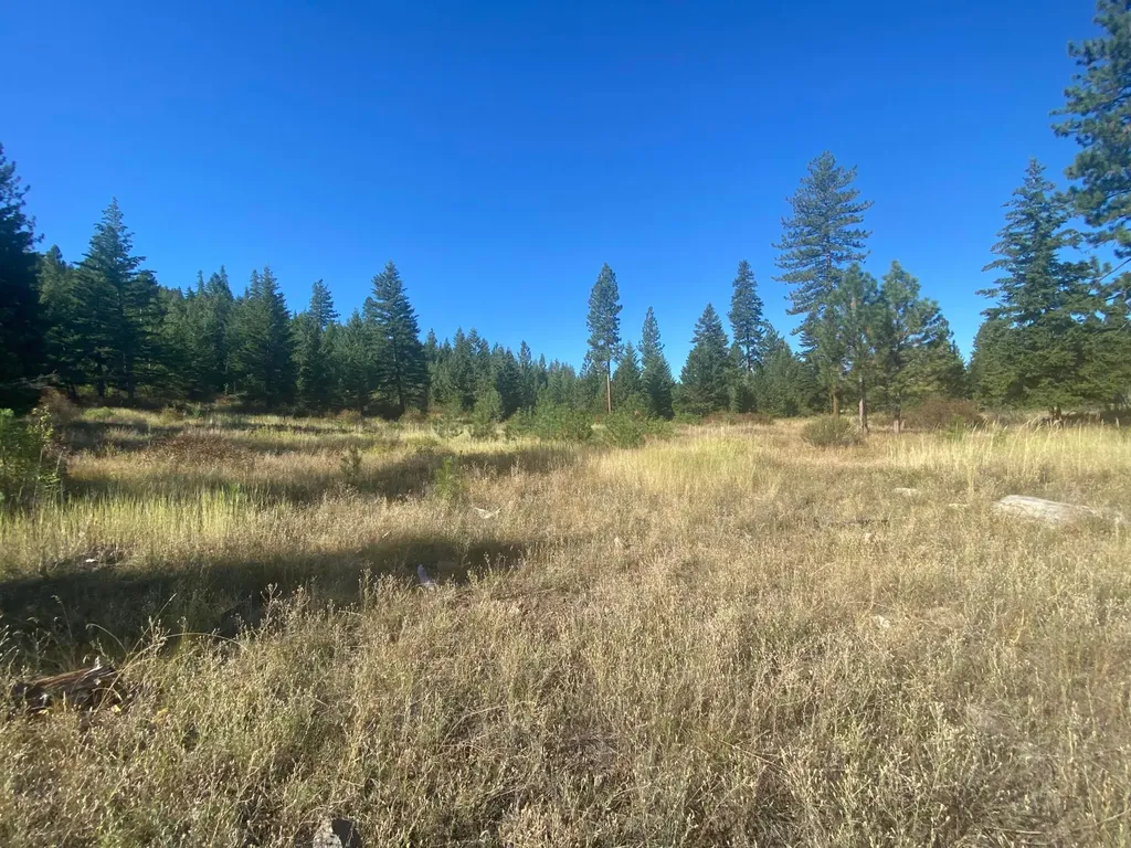 Lot 30 Bighorn Plains MT 59859