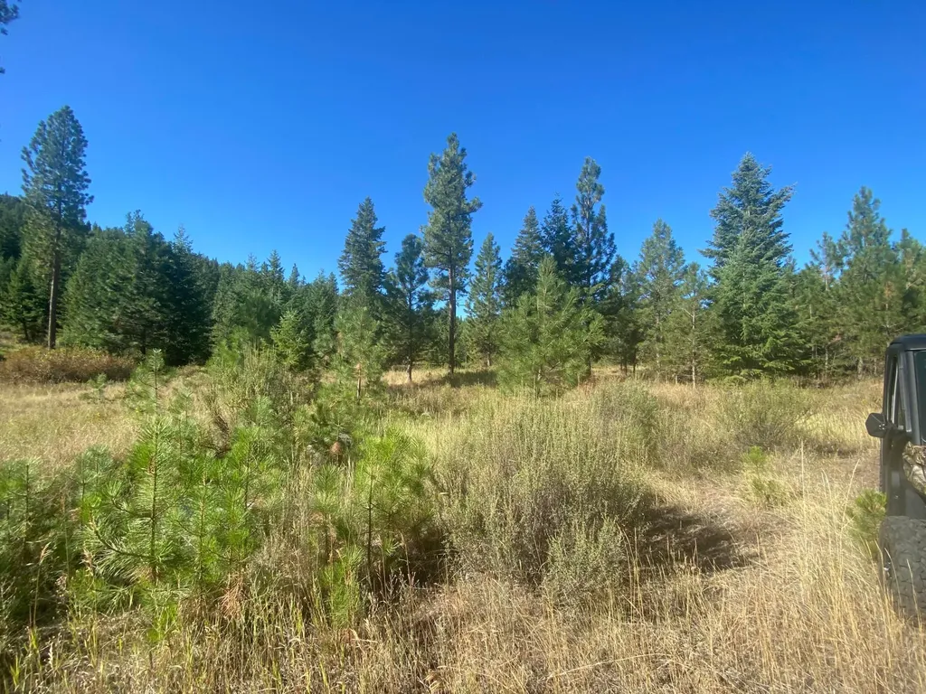 Lot 30 Bighorn Plains MT 59859