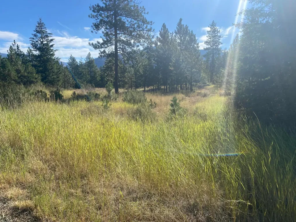 Lot 30 Bighorn Plains MT 59859