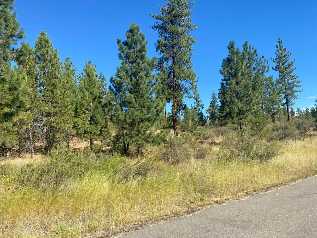 Lot 30 Bighorn Plains MT 59859