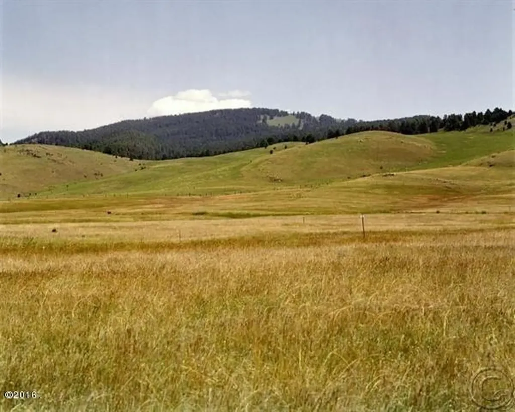 Tract 75 Whiskey Flats Philipsburg MT 59858