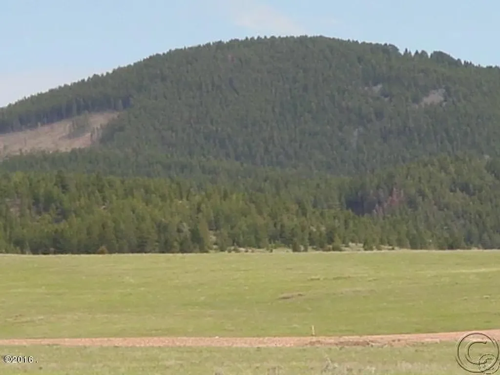 Tract 12a Whiskey Flats Philipsburg MT 59858