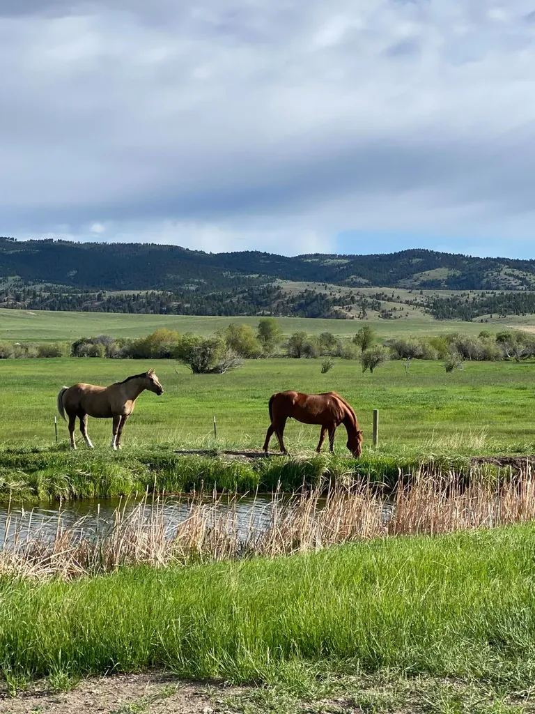 37 Lind Lane White Sulphur Springs MT 59645
