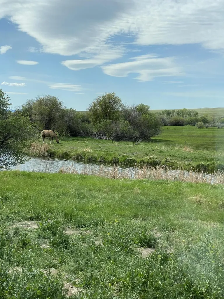 37 Lind Lane White Sulphur Springs MT 59645
