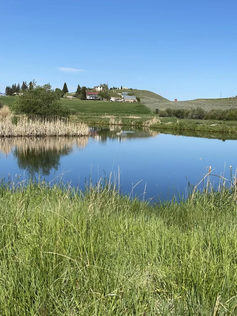 37 Lind Lane White Sulphur Springs MT 59645