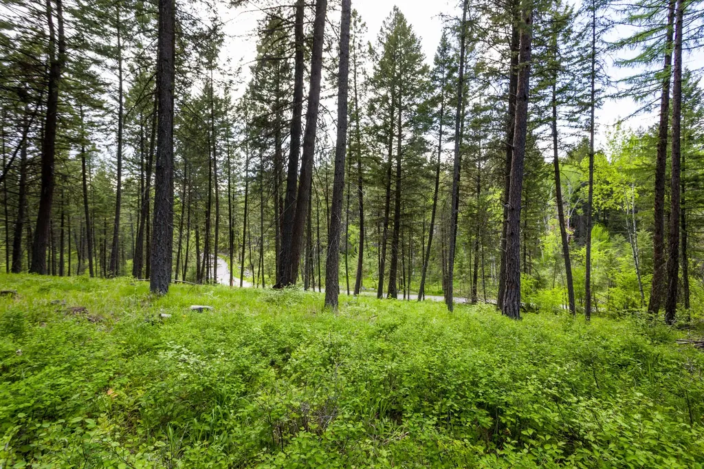 616 Ranch Road Bigfork MT 59911