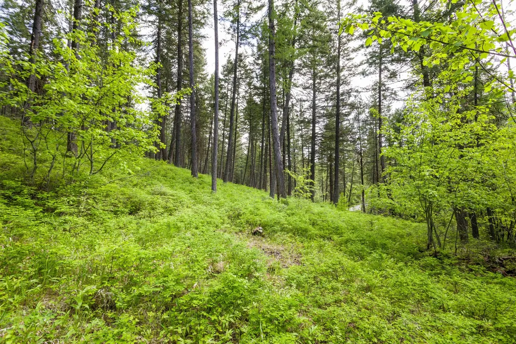 616 Ranch Road Bigfork MT 59911