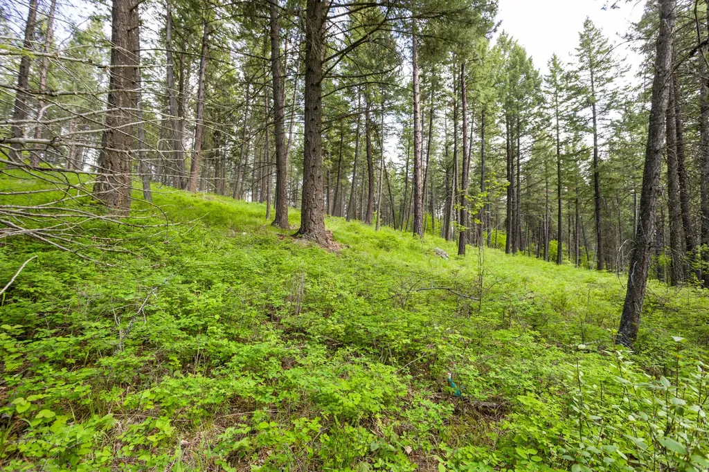 616 Ranch Road Bigfork MT 59911