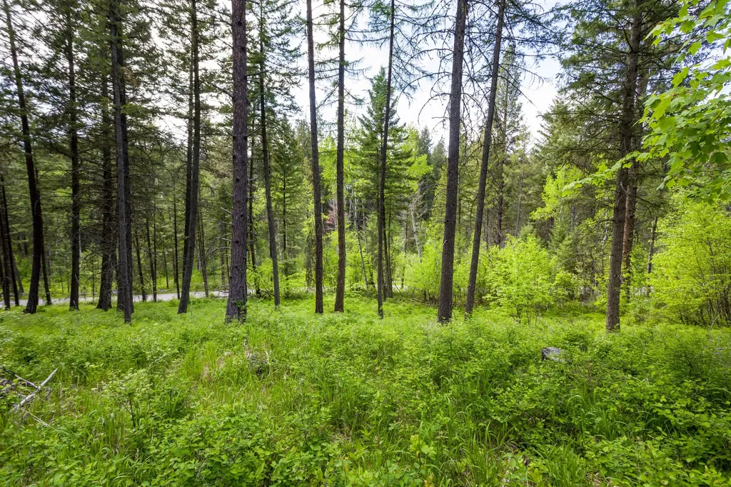 616 Ranch Road Bigfork MT 59911