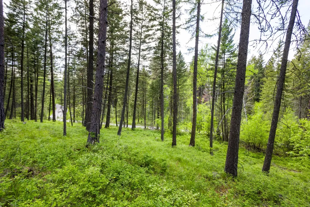 616 Ranch Road Bigfork MT 59911