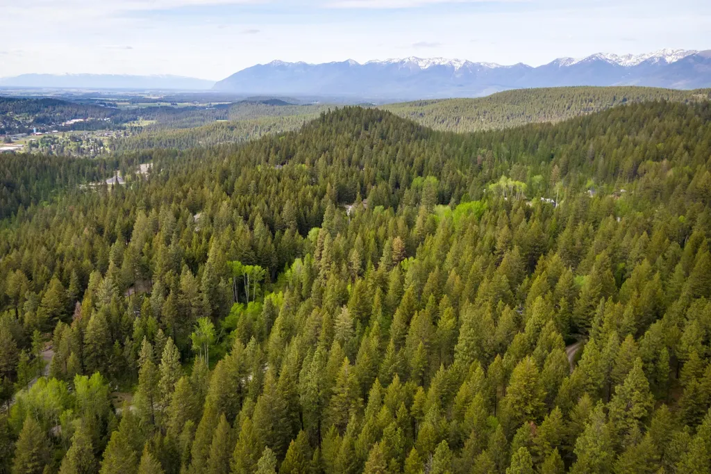 616 Ranch Road Bigfork MT 59911