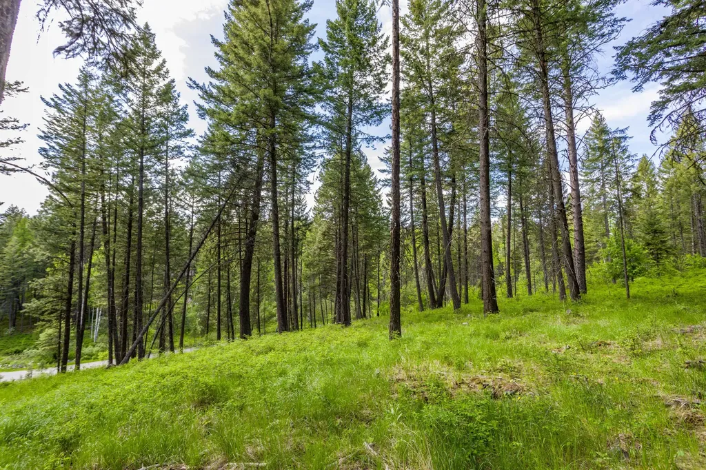 604 Ranch Road Bigfork MT 59911