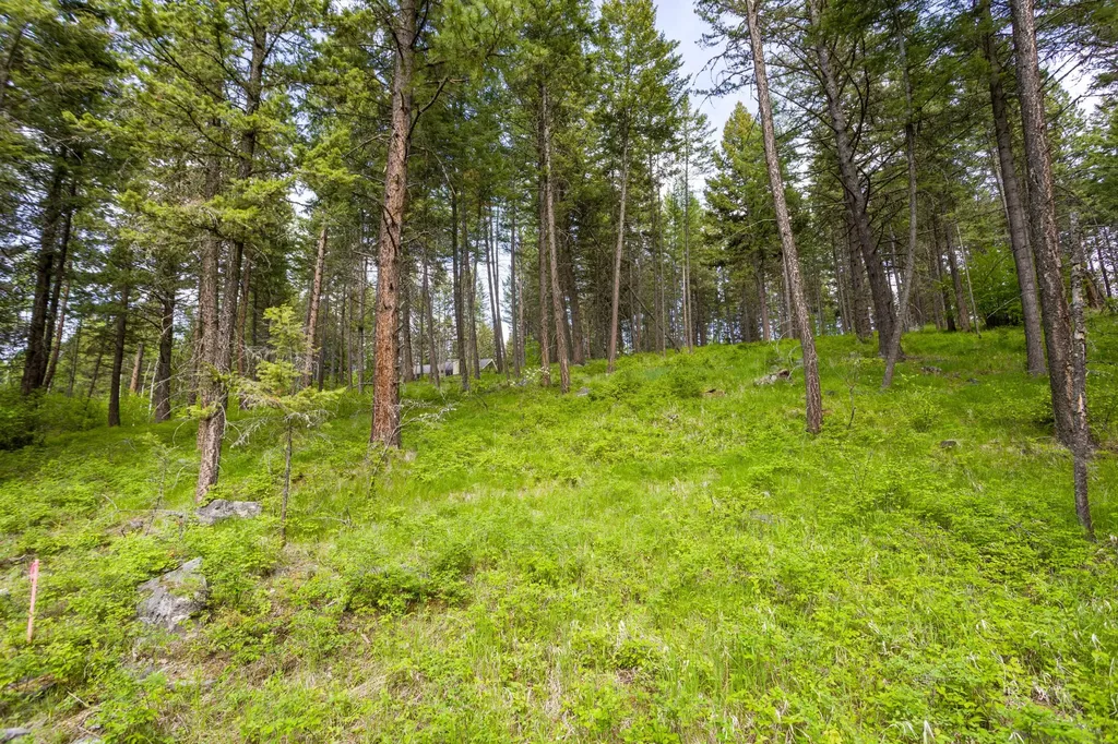604 Ranch Road Bigfork MT 59911
