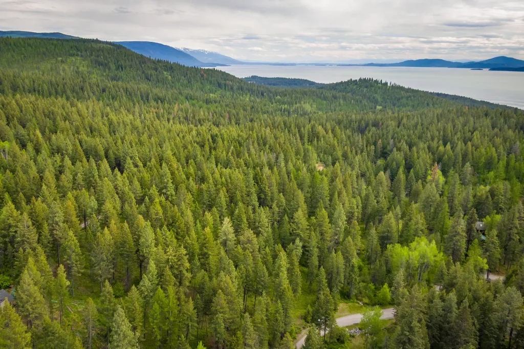604 Ranch Road Bigfork MT 59911
