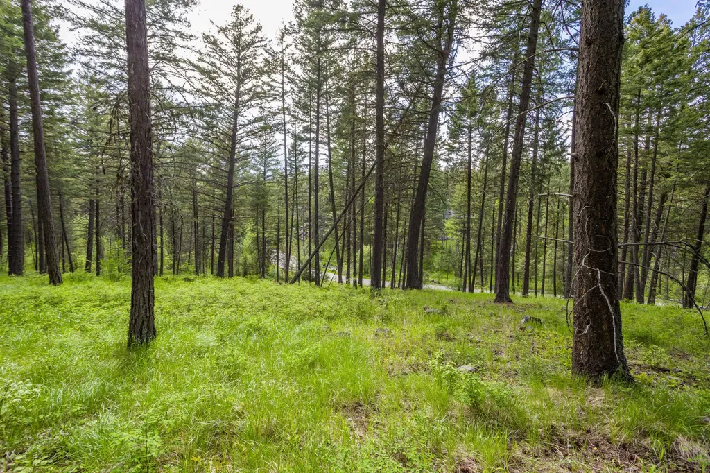 604 Ranch Road Bigfork MT 59911