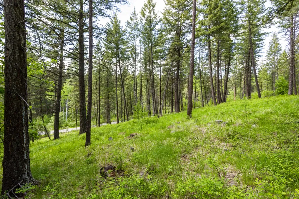 604 Ranch Road Bigfork MT 59911