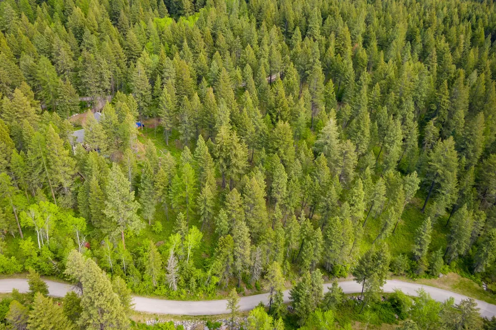 604 Ranch Road Bigfork MT 59911