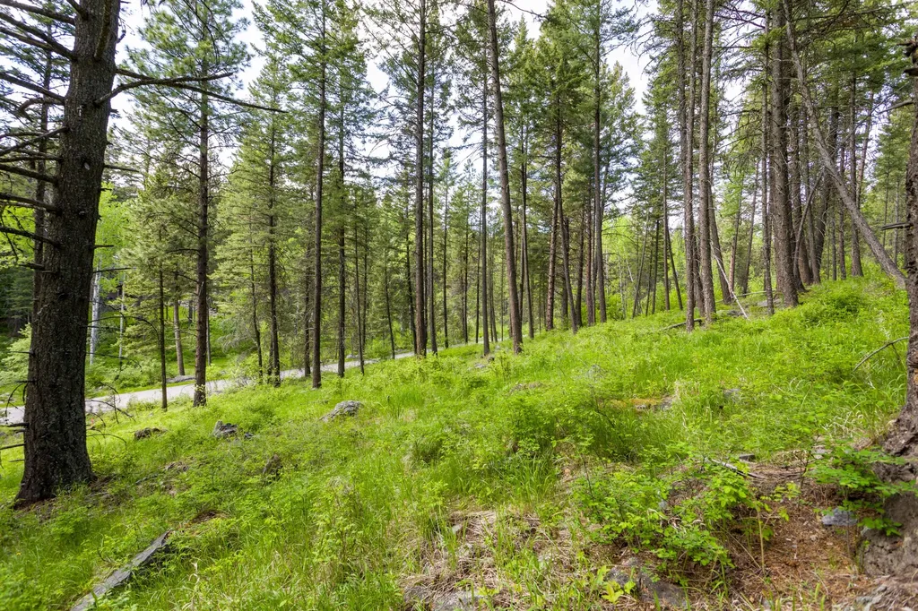 604 Ranch Road Bigfork MT 59911