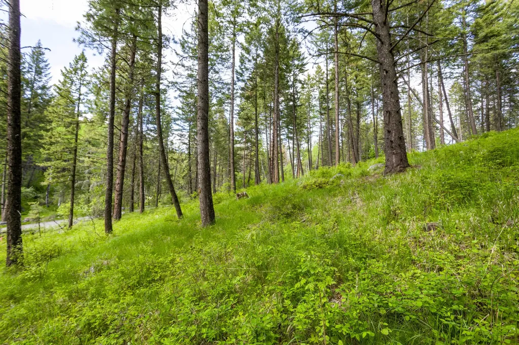604 Ranch Road Bigfork MT 59911