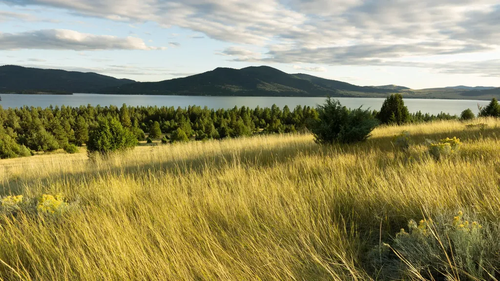 Nhn Cromwell Island Road Dayton MT 59914