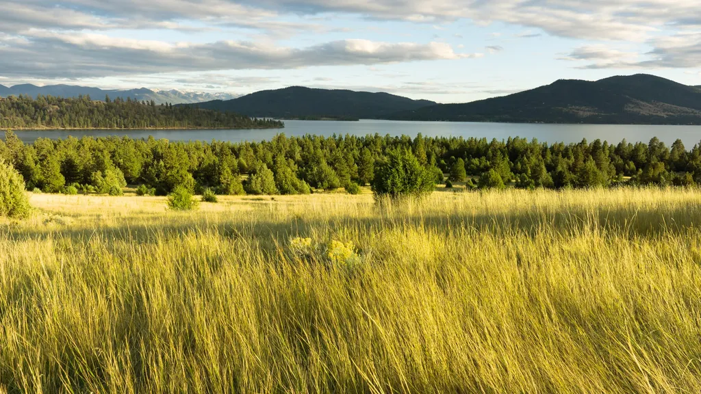 Nhn Cromwell Island Road Dayton MT 59914