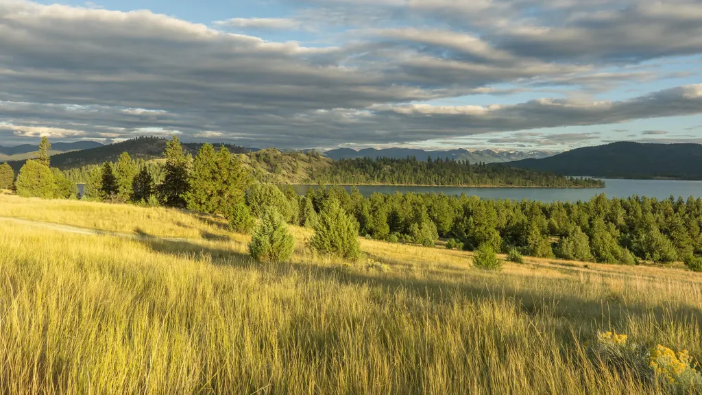 Nhn Cromwell Island Road Dayton MT 59914