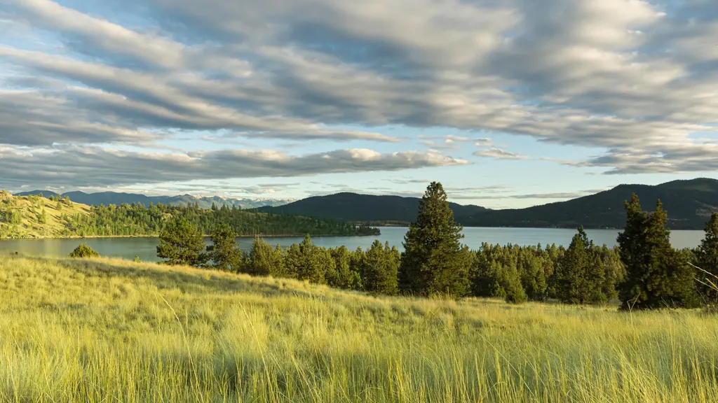 Nhn Cromwell Island Road Dayton MT 59914